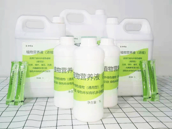 植物營(yíng)養液對魚(yú)有影響嗎?