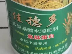 什么是魚(yú)肽蛋白肥料-偉諾生物科技來(lái)解答